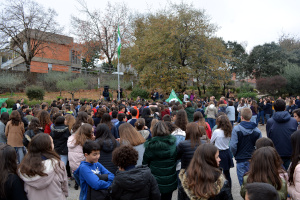 Bandeira Verde