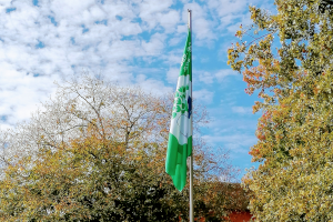 Bandeira verde Eco-Escolas